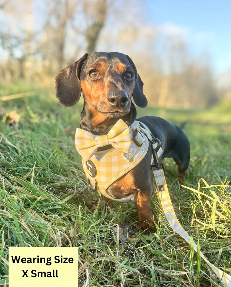 Lemon Check Adjustable Harness