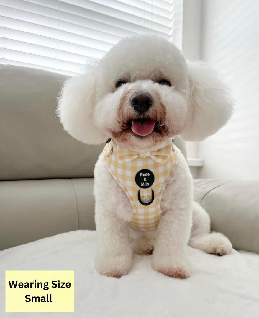 Lemon Check Adjustable Harness