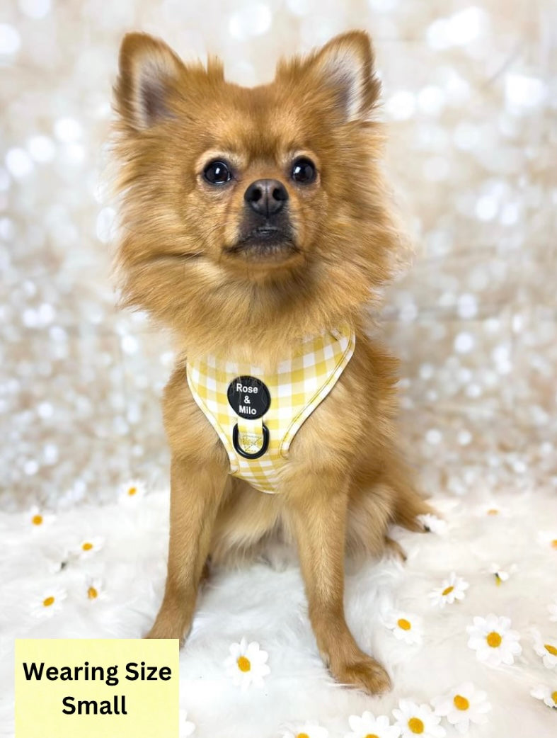 Lemon Check Adjustable Harness