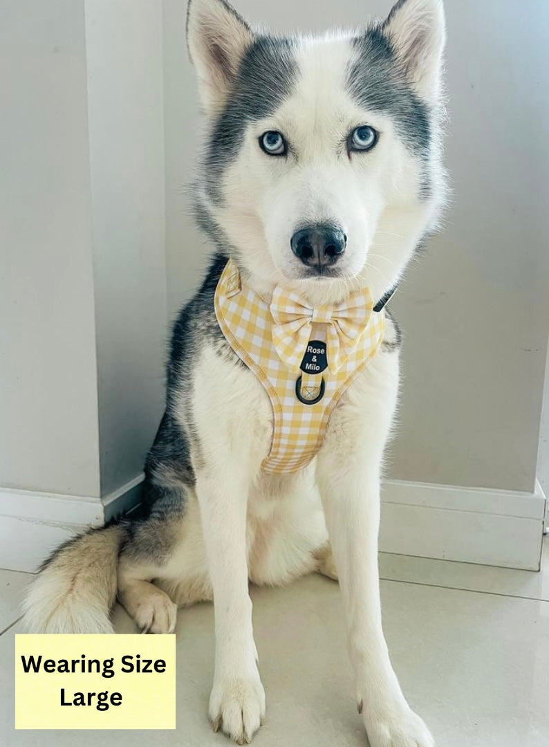 Lemon Check Adjustable Harness