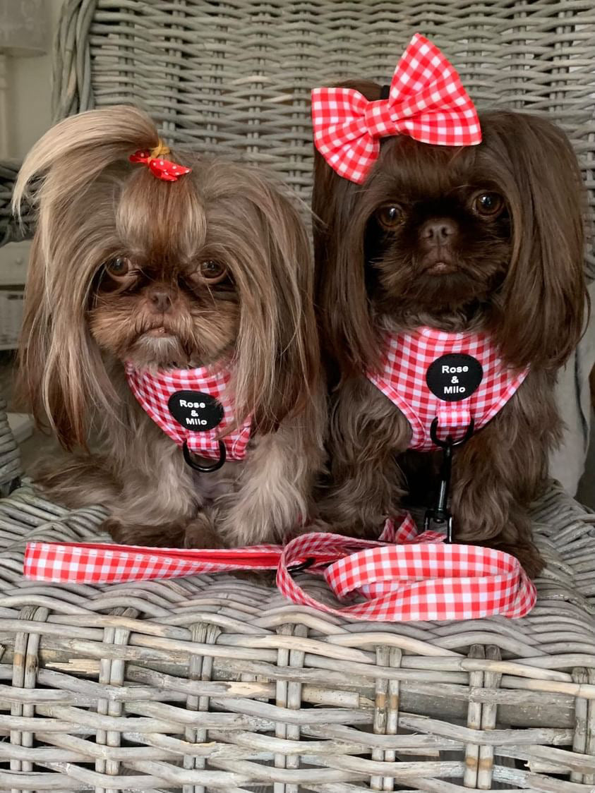 Red Gingham Adjustable Harness