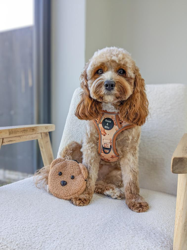 Teddy Bear Walk & Go Harness