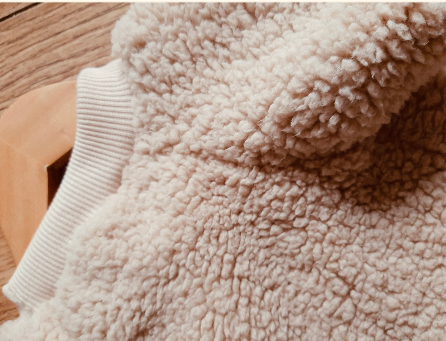 Teddy Bear Dog Jumper