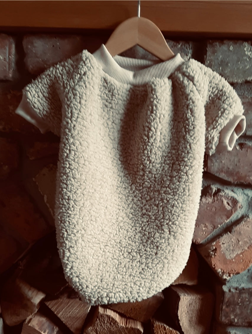 Teddy Bear Dog Jumper