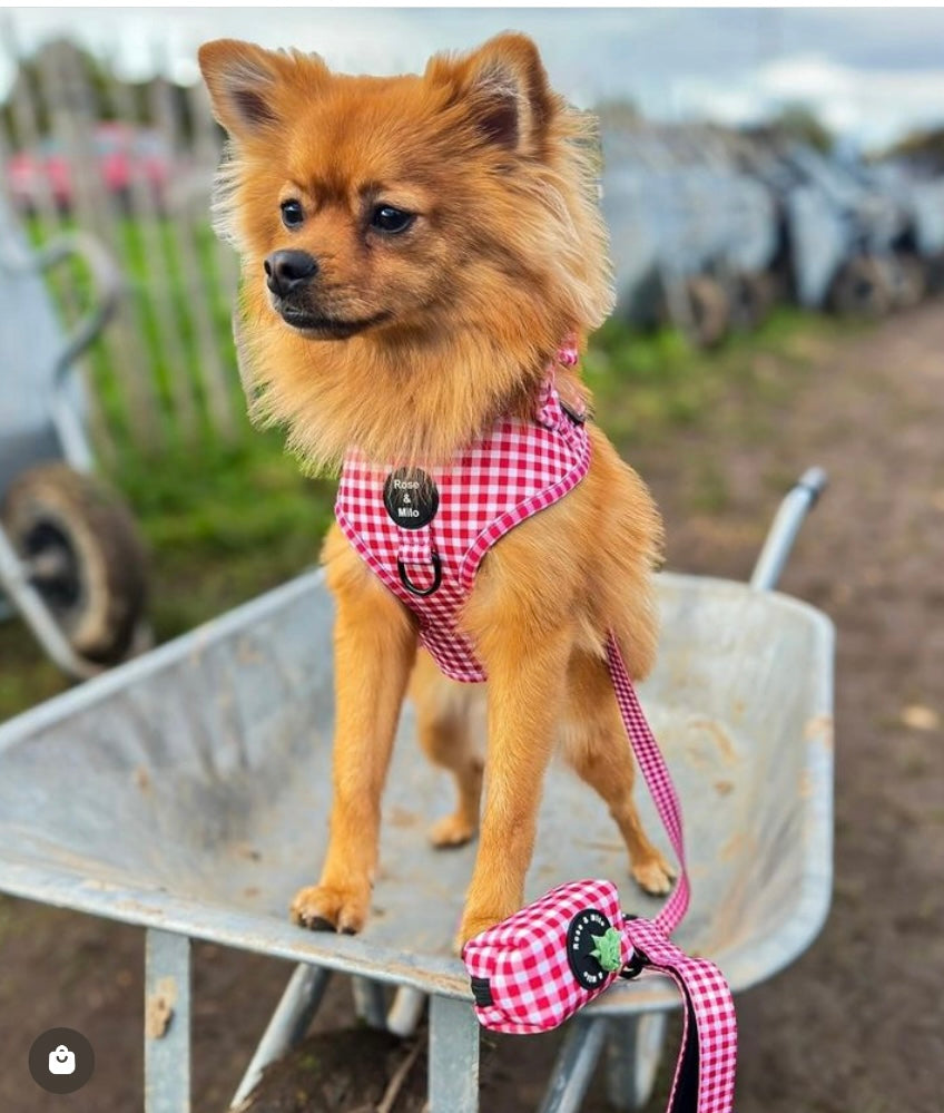 Red Gingham Adjustable Harness