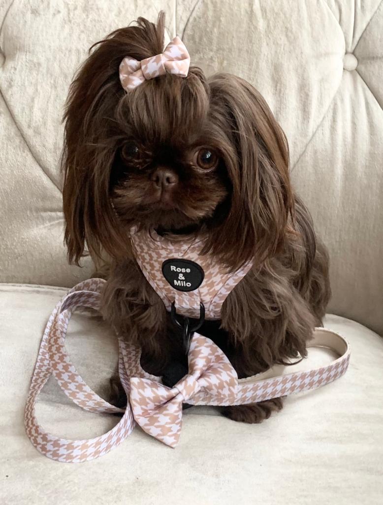 Beige Hound Tooth TOP KNOT Bow