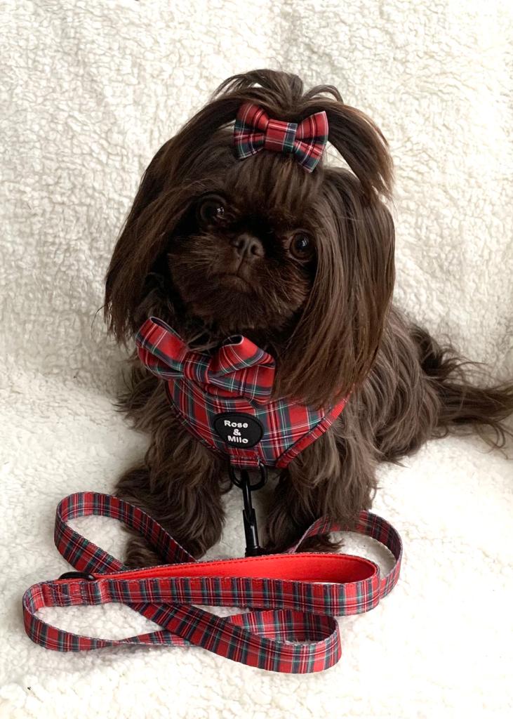 Red Tartan TOP KNOT Bow
