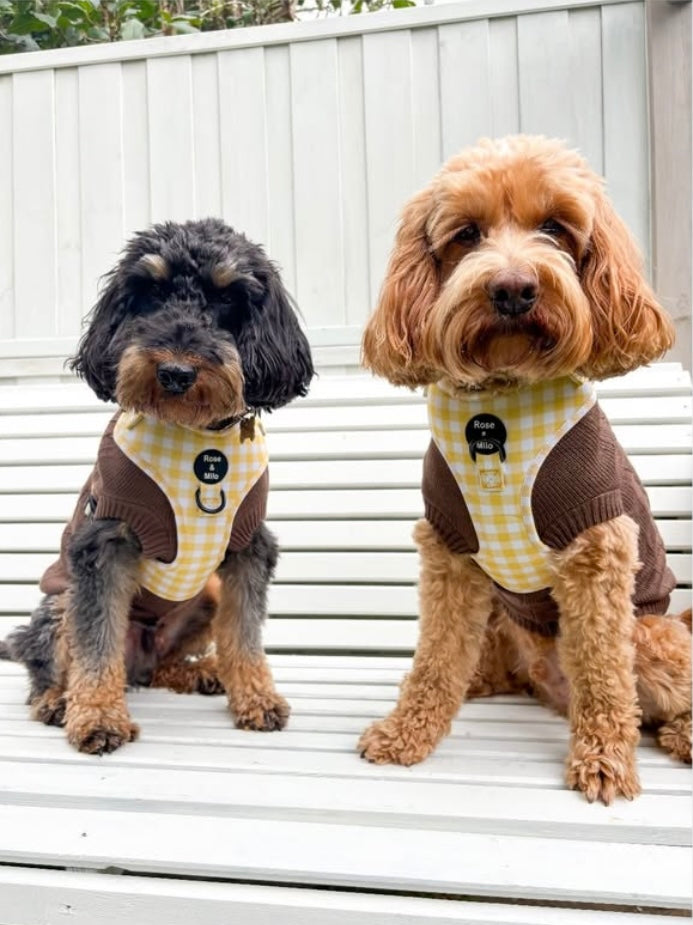 Lemon Check Adjustable Harness