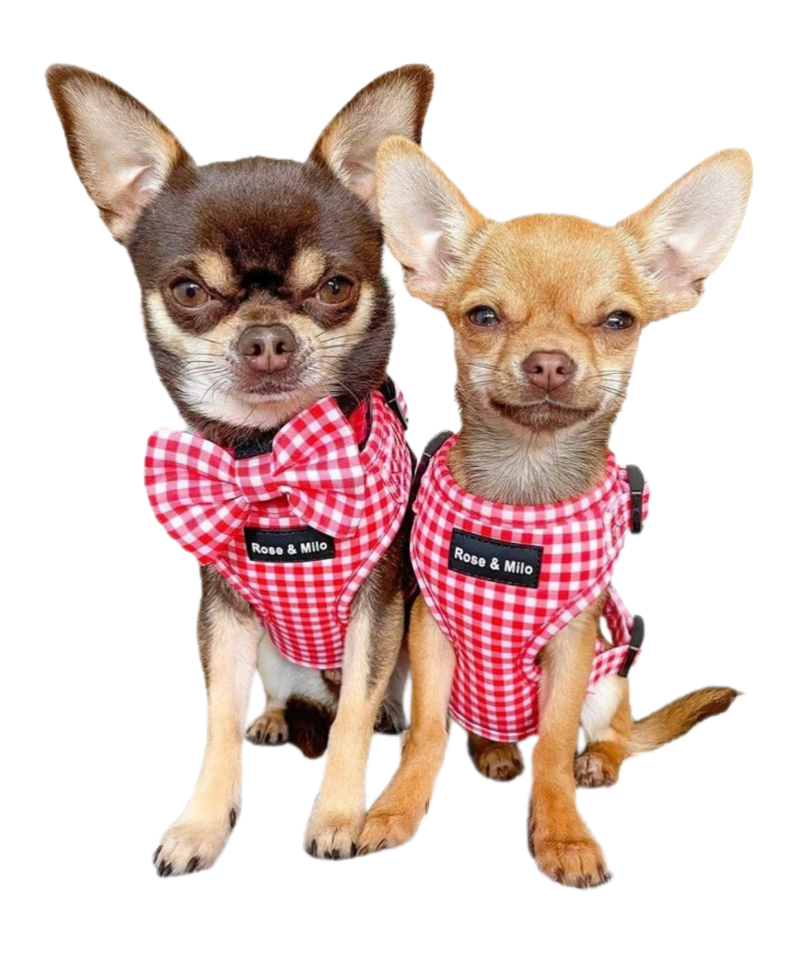 Red Gingham Adjustable Harness