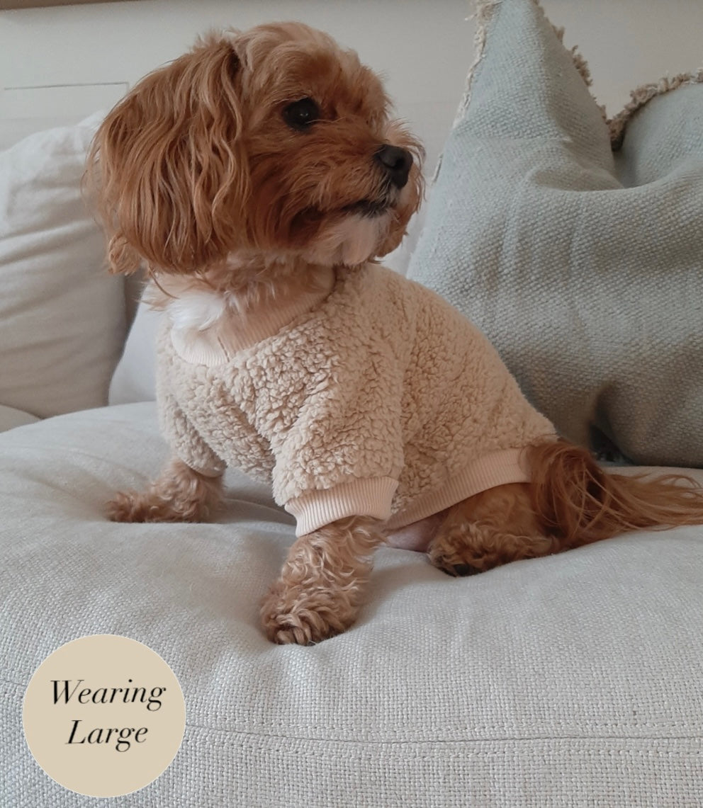 Teddy Bear Dog Jumper
