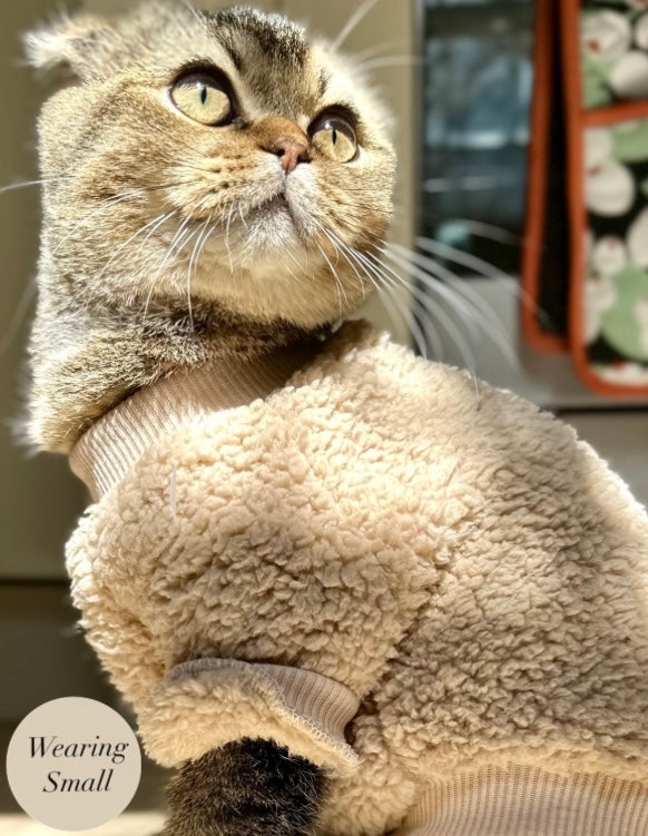 Teddy Bear Dog Jumper