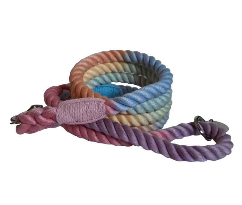 Rope Lead Rainbow Ombré 4ft