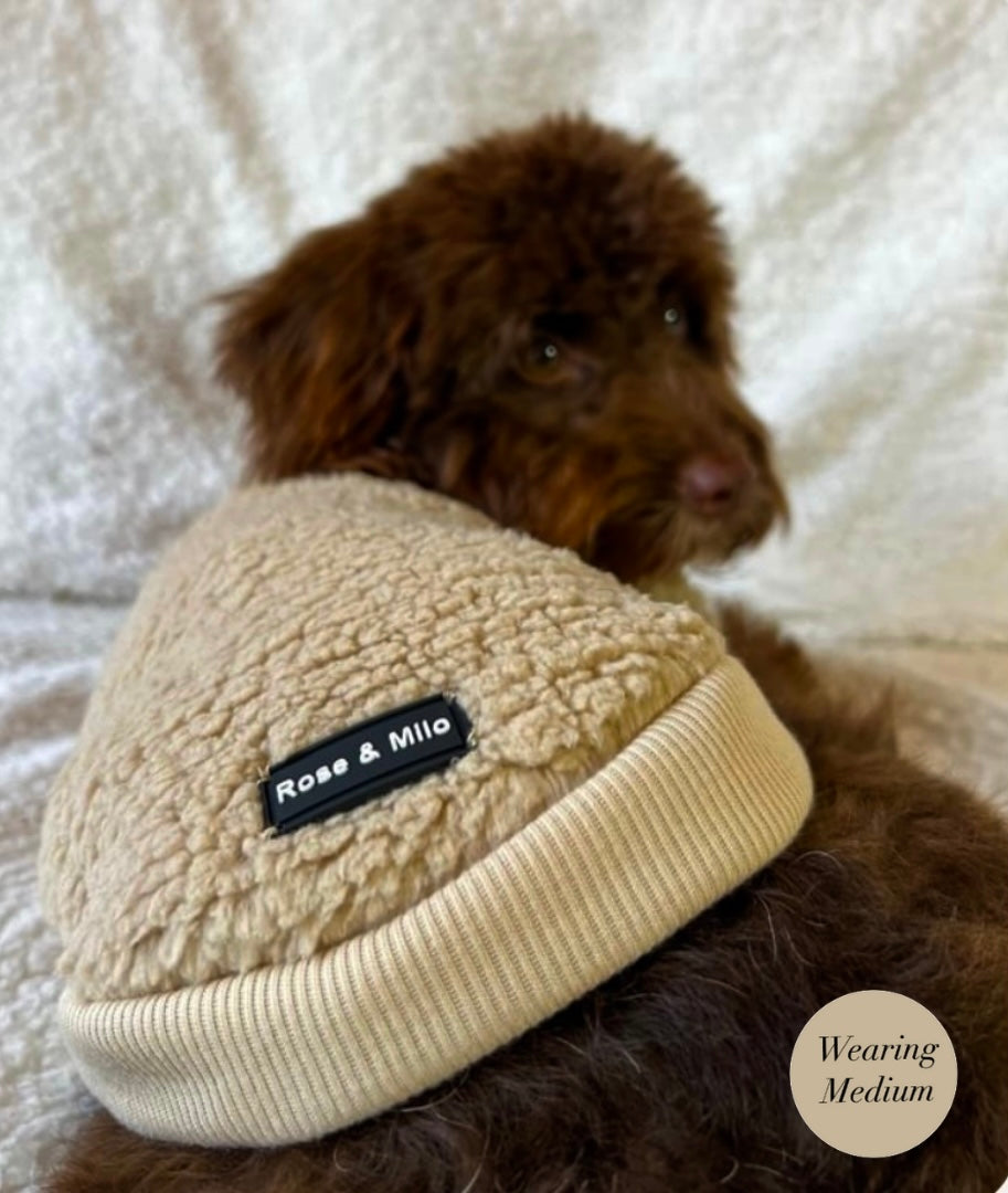 Teddy Bear Dog Jumper