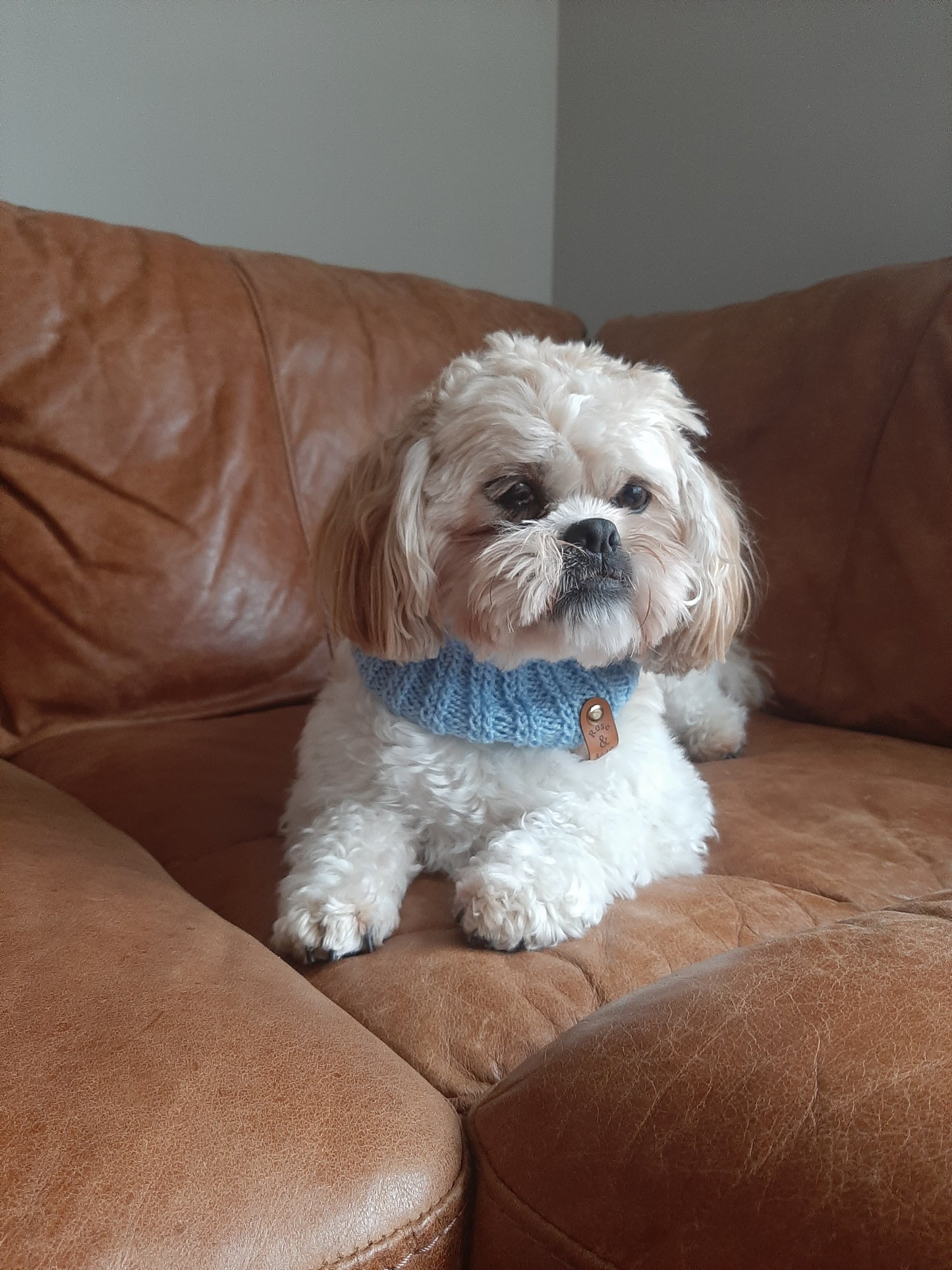 Snood Extra Small