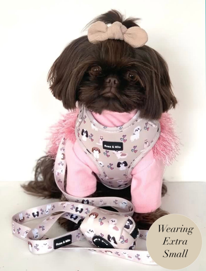 Harness Adjustable I Shih Tzu Not XXSmall