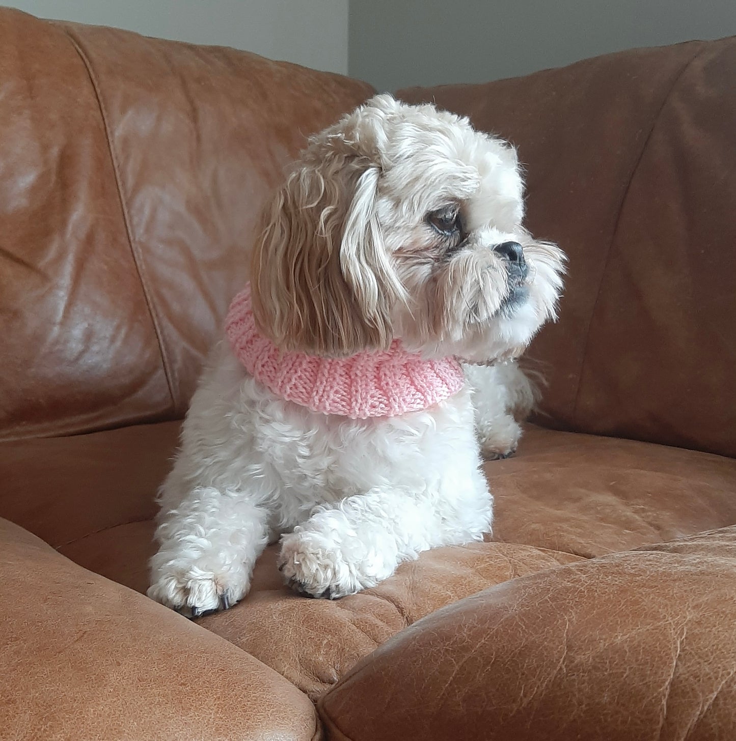Snood Extra Small