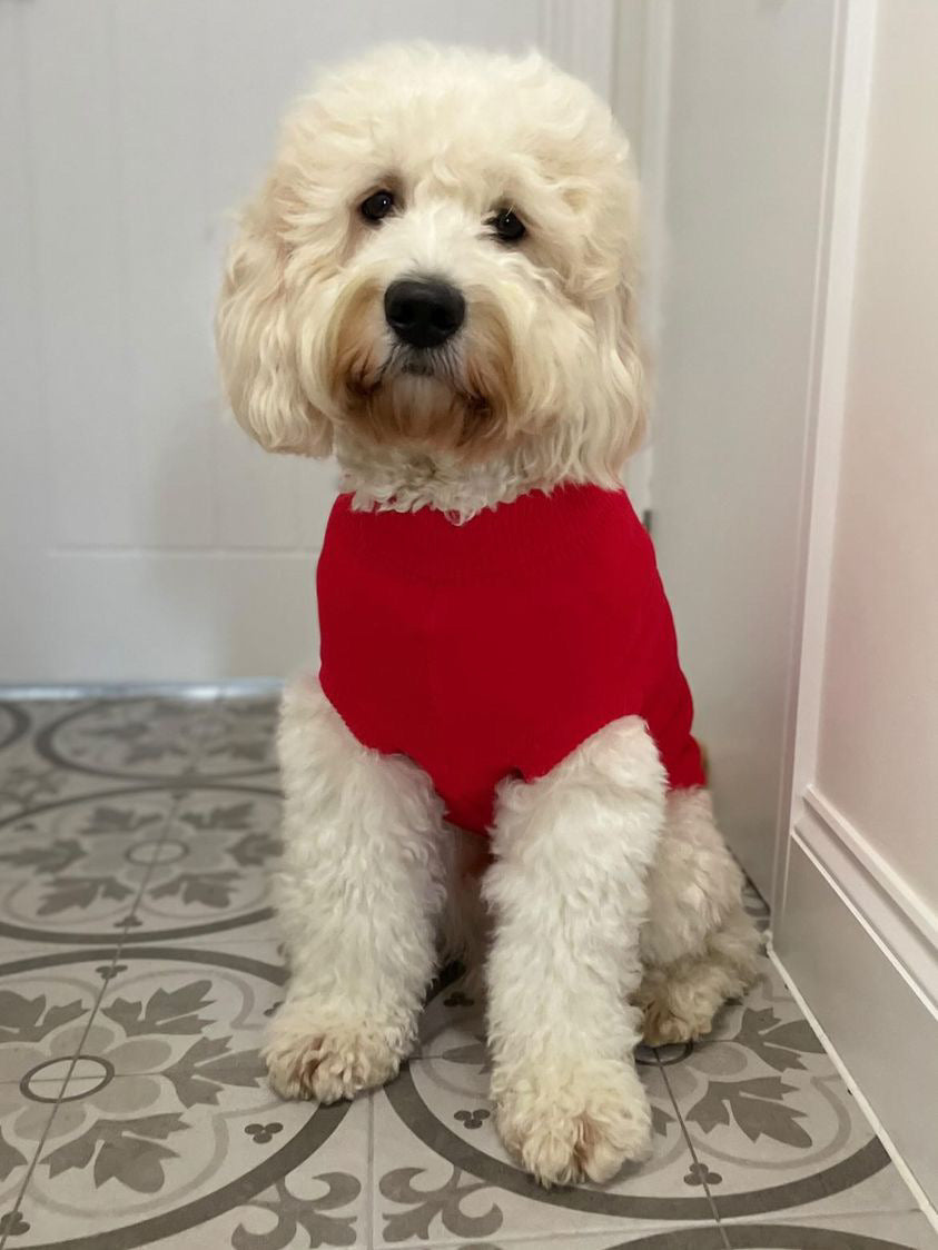 Fine Knit Cable Dog Jumper Bright Red