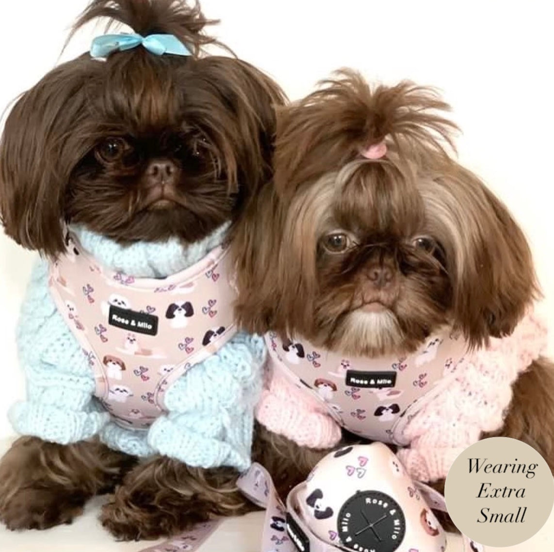 Harness Adjustable I Shih Tzu Not XXSmall