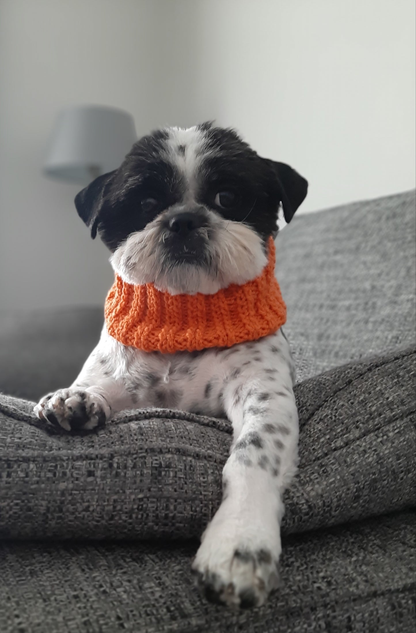 Snood Extra Small