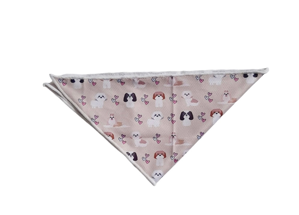 Bandana I Shih Tzu Not