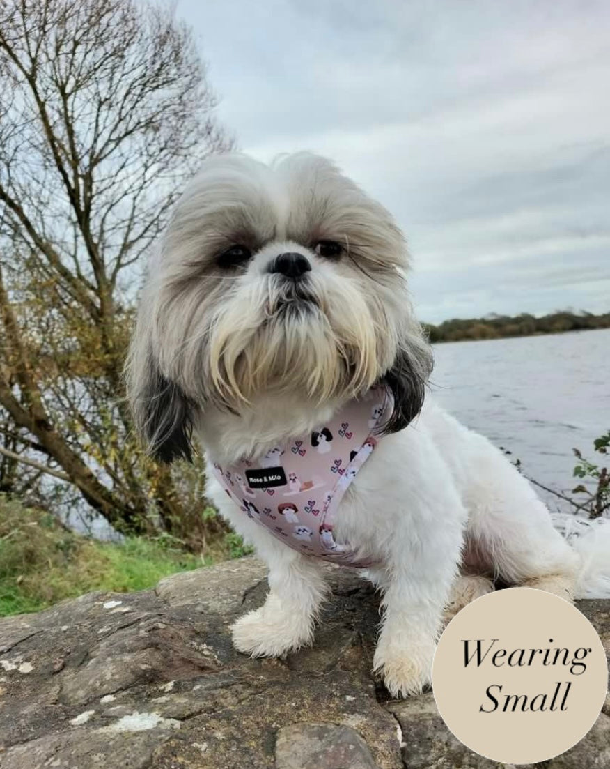 Harness Adjustable I Shih Tzu Not XXSmall