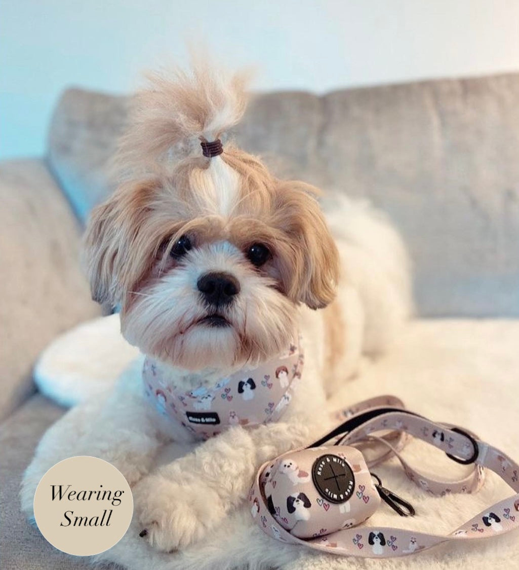 Harness Adjustable I Shih Tzu Not XXSmall