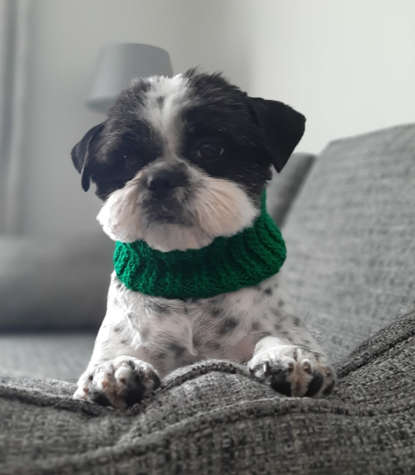 Snood Extra Small