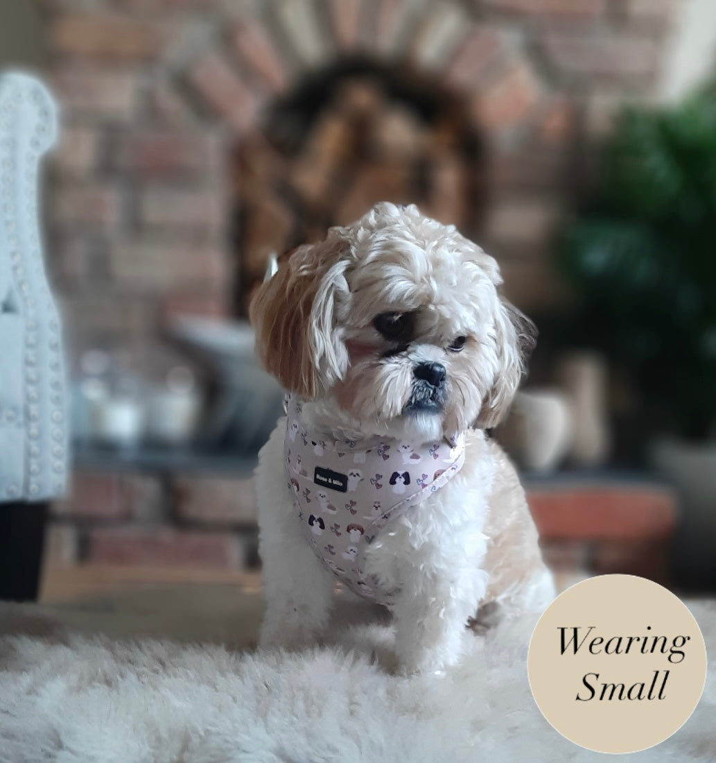 Harness Adjustable I Shih Tzu Not XXSmall