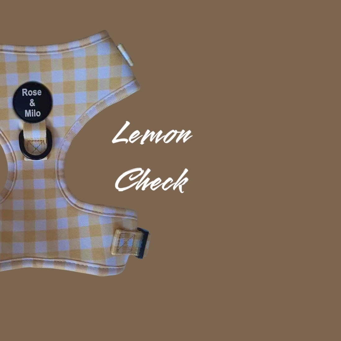🌼 Introducing the Lemon Daisy Collection: Fresh, Bright, and Perfect for Your Pup