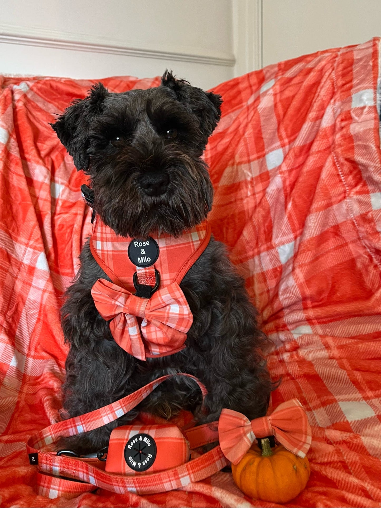 Orange Plaid Huge Snuggle Blanket 130cm x 100cm
