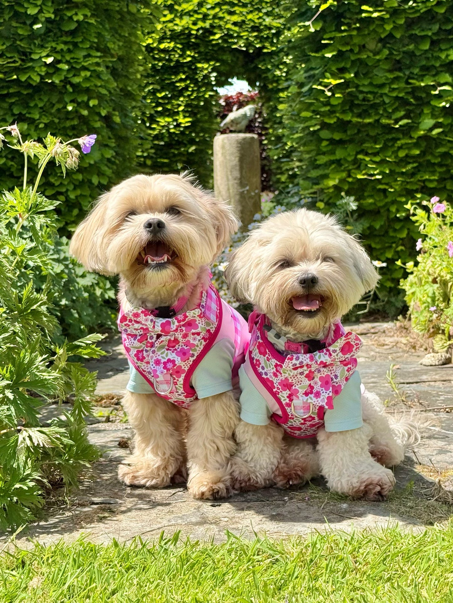 Pink Blooms Adjustable Dog Harness