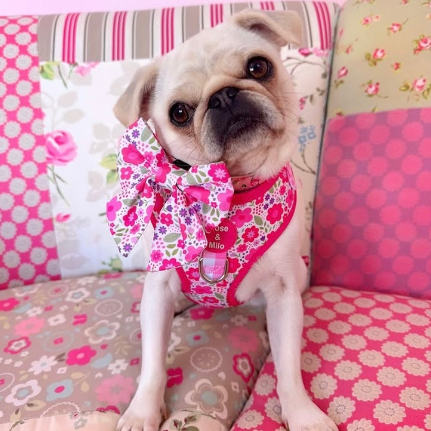 Pink Blooms Adjustable Dog Harness