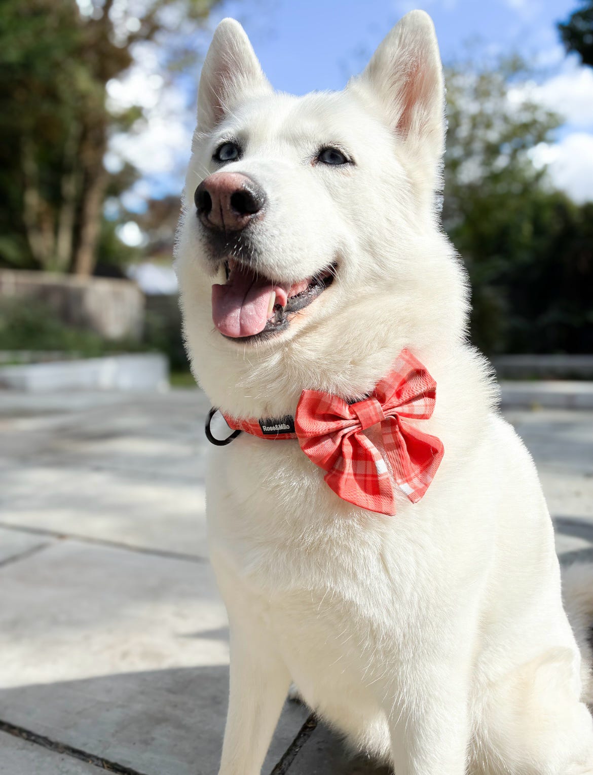 Orange Plaid Sailor Bow