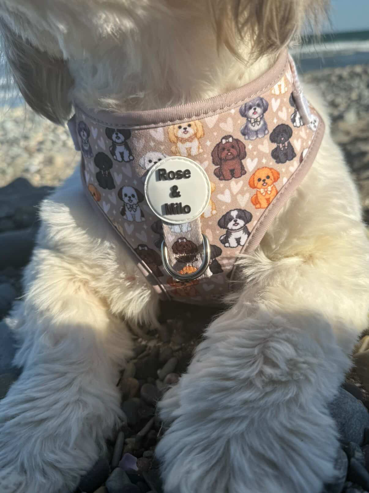 Harness Adjustable I Shih Tzu Not NEW