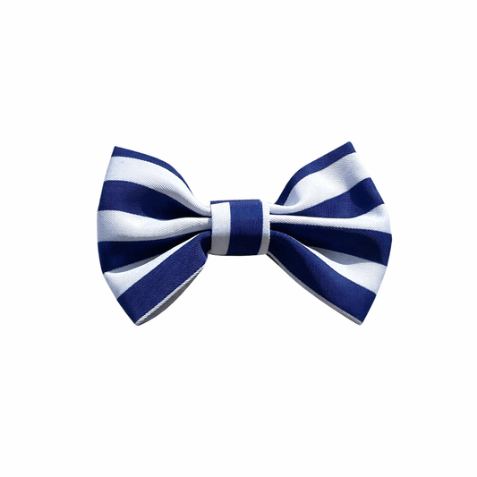 Blue Stripe Dog Bow Tie