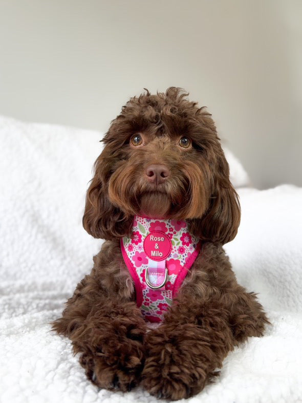 Pink Blooms Adjustable Dog Harness