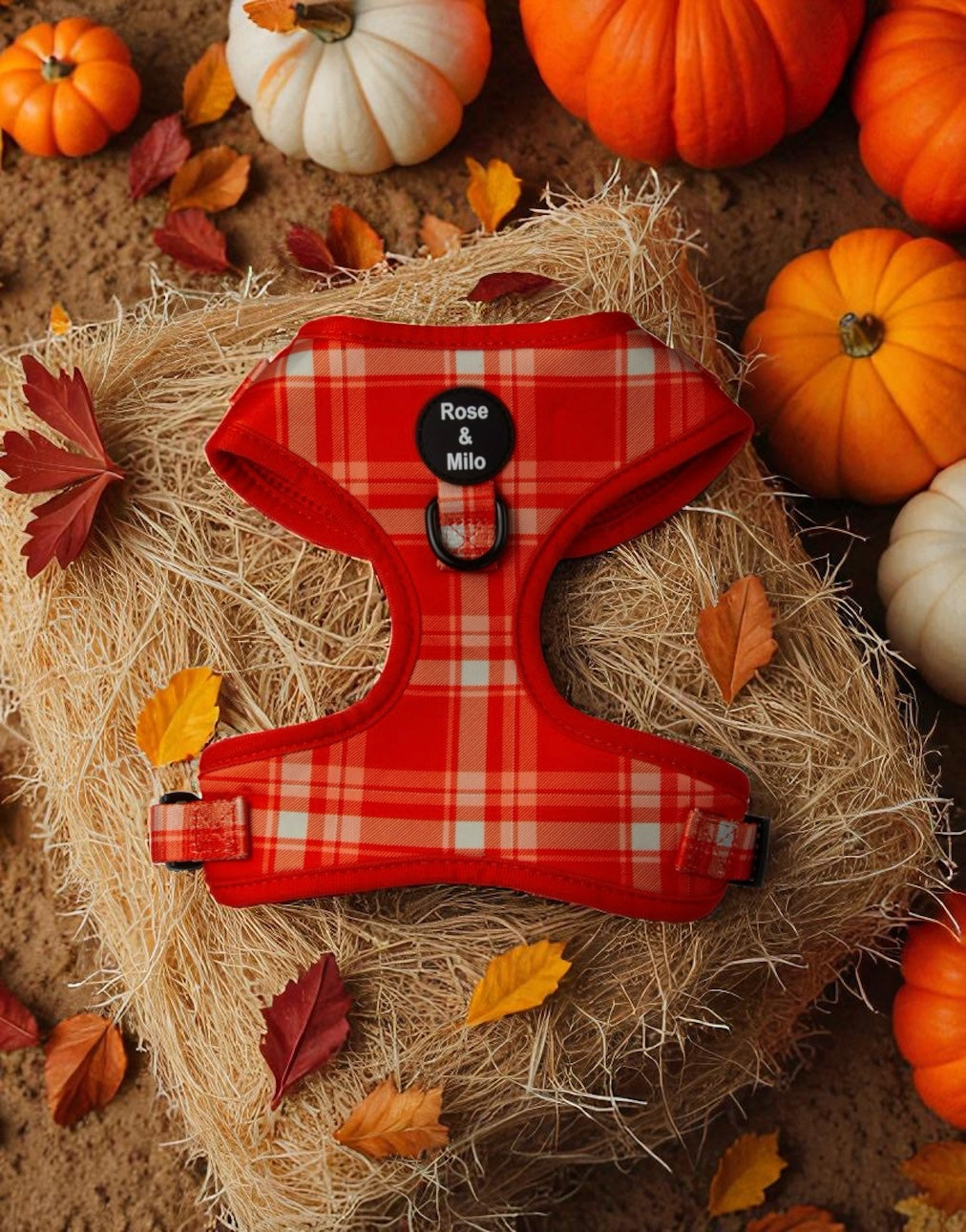 Orange Plaid Adjustable Dog Harness