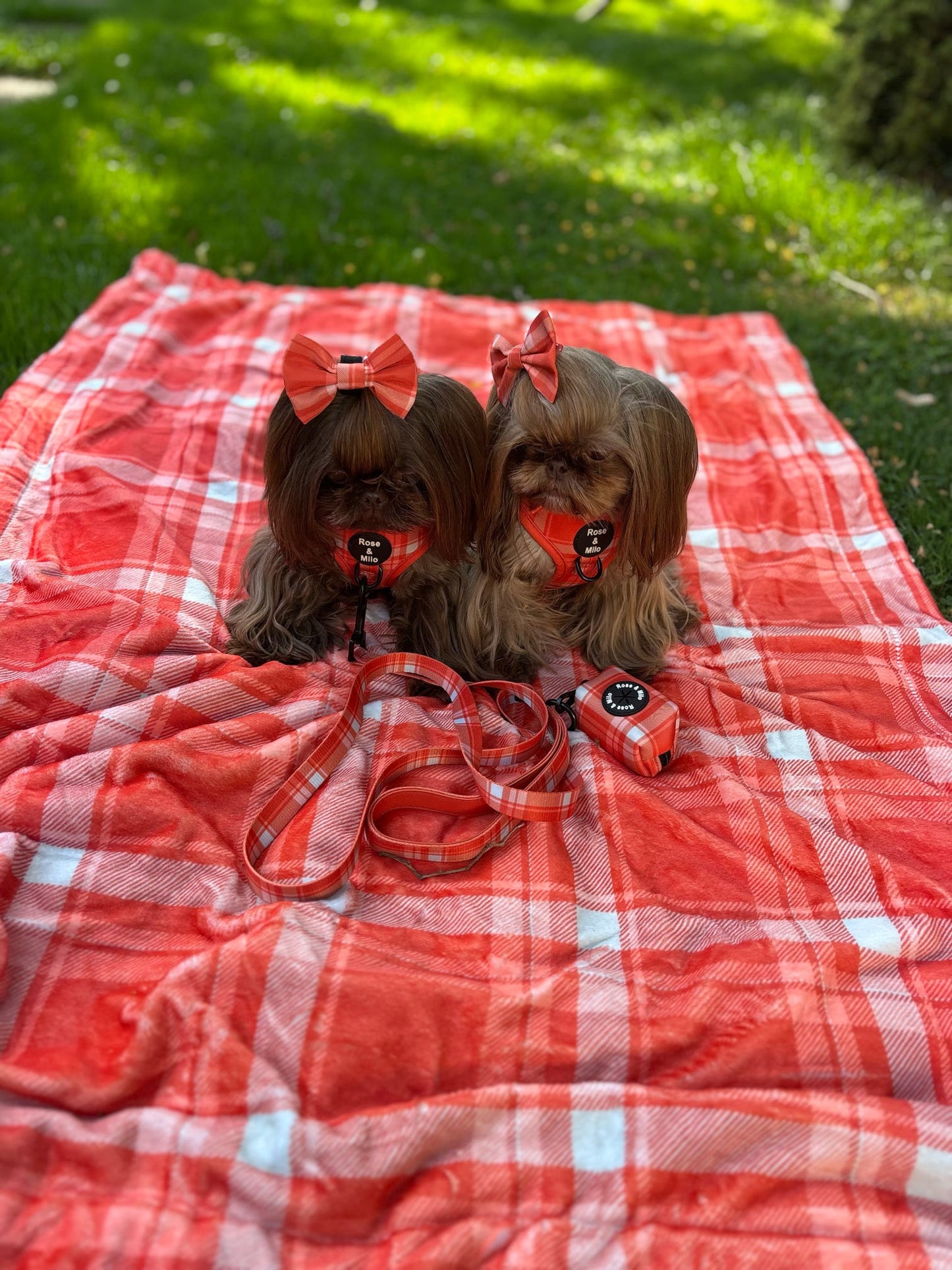 Orange Plaid Huge Snuggle Blanket 130cm x 100cm