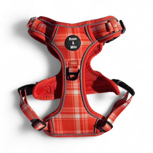 Orange Plaid Walk & Go Adjustable Dog Harness