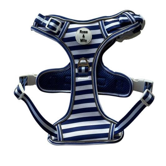 Blue Stripe Step-In Walk & Go Dog Harness