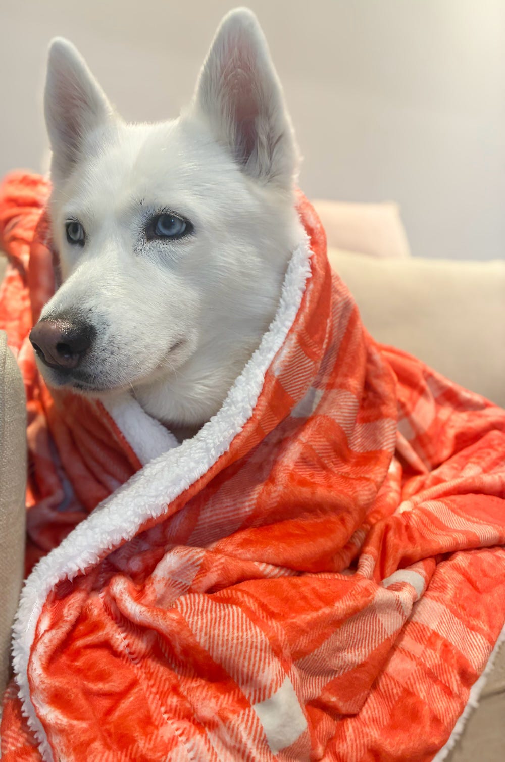 Orange Plaid Huge Snuggle Blanket 130cm x 100cm