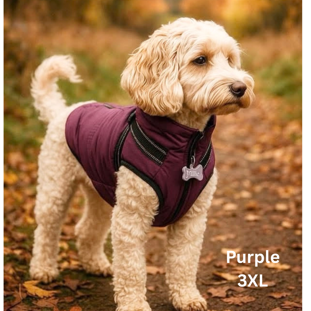 Dog Harness Coats Small-5XL