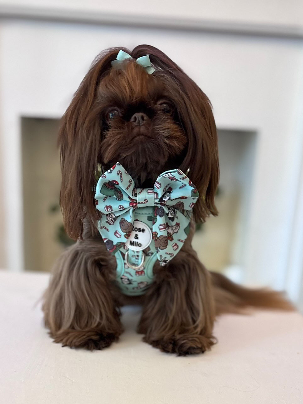 It’s Shihmass Dog Sailor Bow