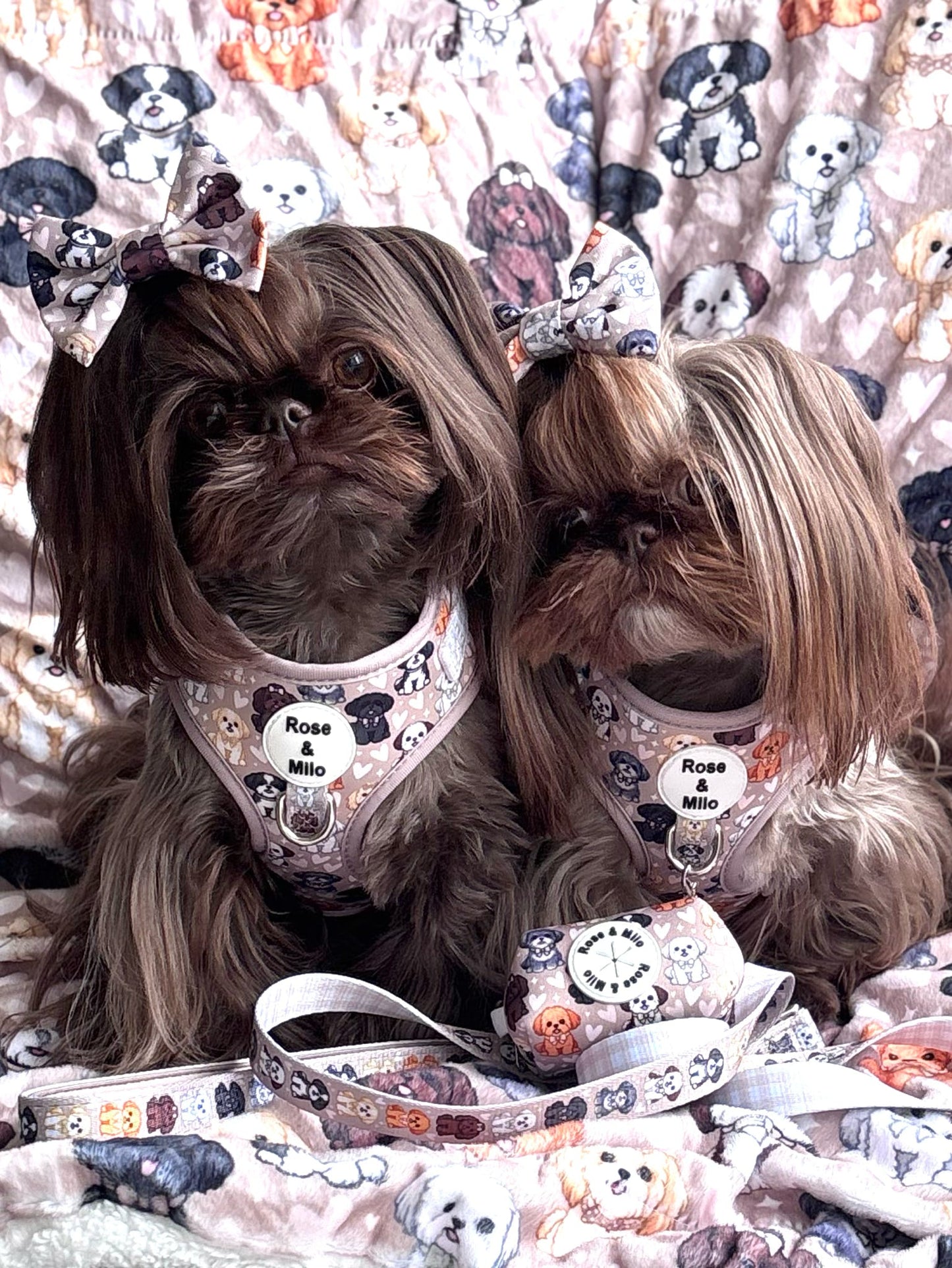 Harness Adjustable I Shih Tzu Not NEW