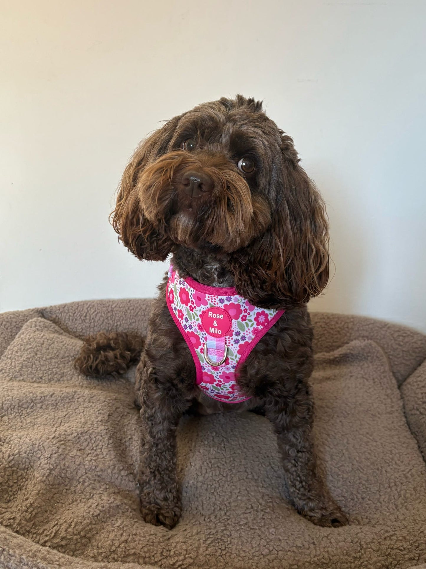 Pink Blooms Adjustable Dog Harness