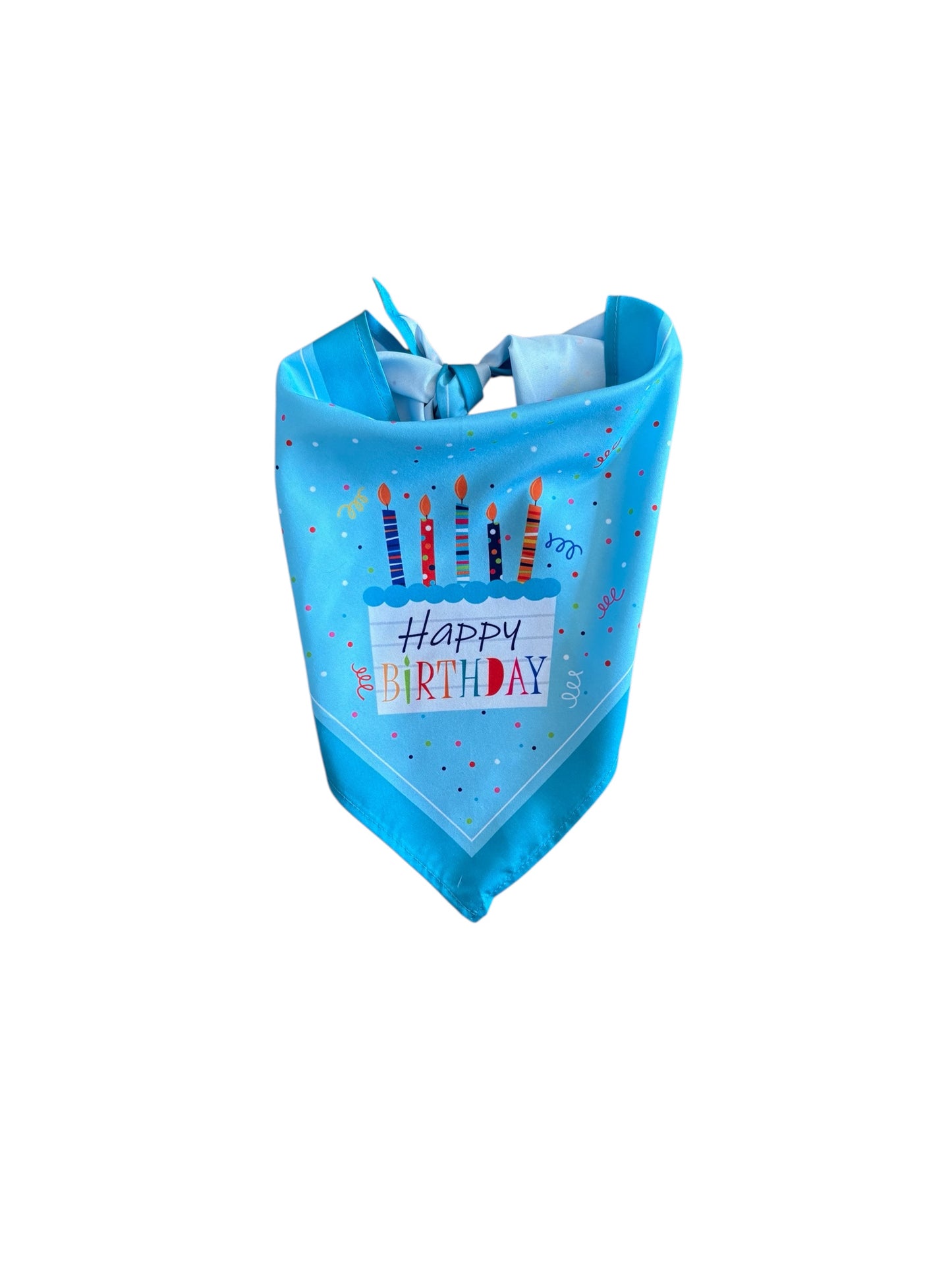 Dog Birthday Boy Bandana