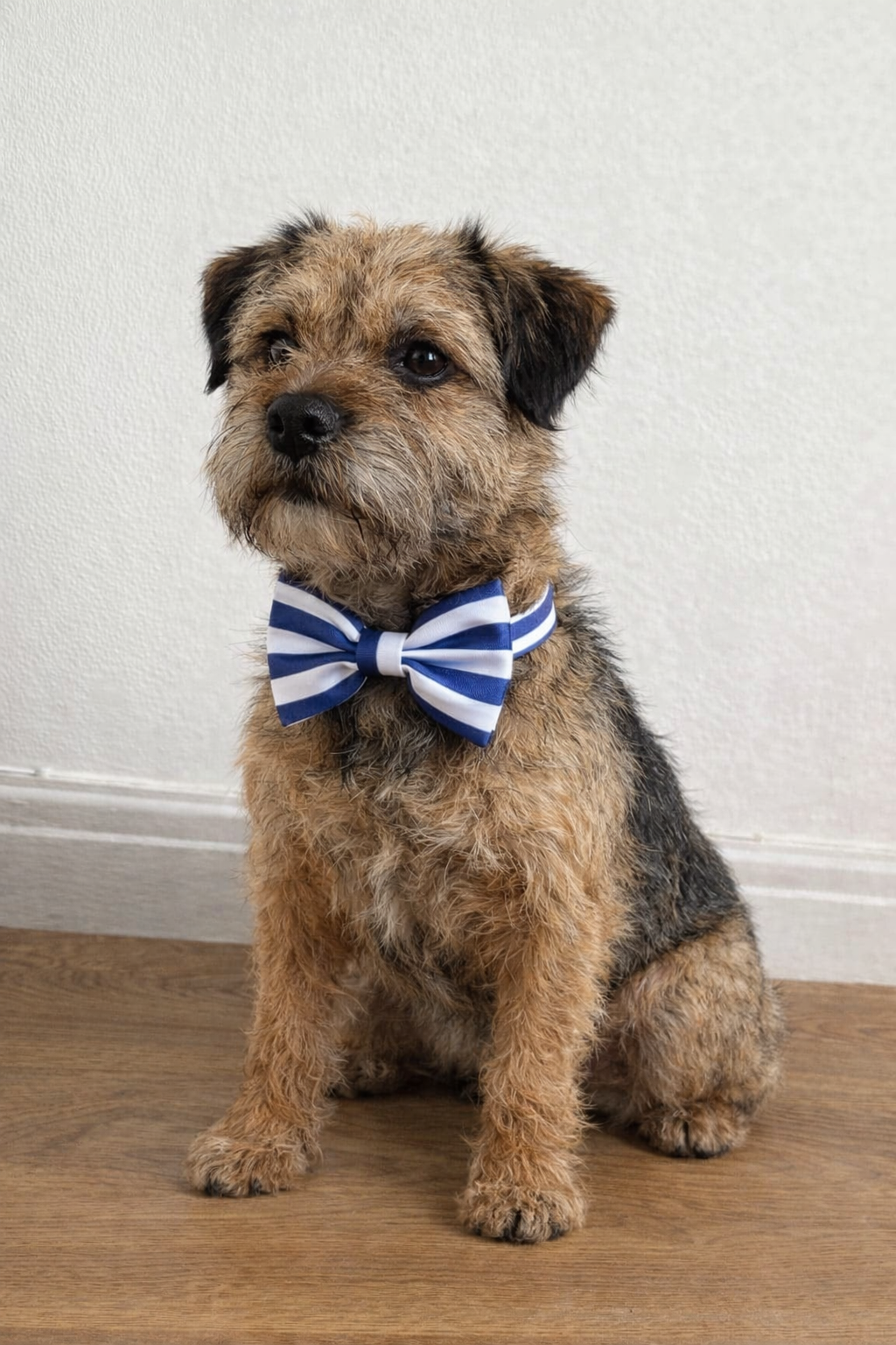 Blue Stripe Dog Bow Tie