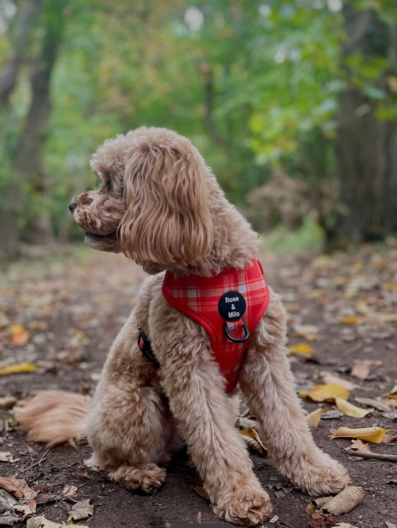 Orange Plaid Adjustable Dog Harness