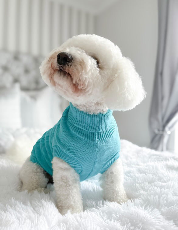 Fine Knit Roll Neck Dog Jumper Aqua Blue