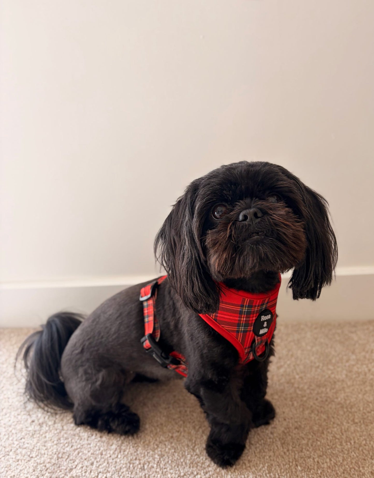 Red Tartan Adjustable Dog Harness